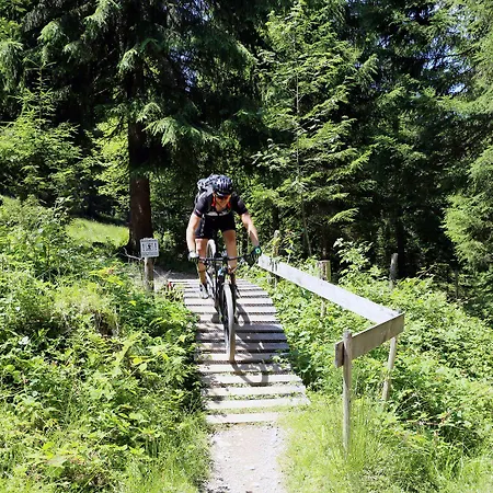 Belle Kitz Im Zentrum By Belle