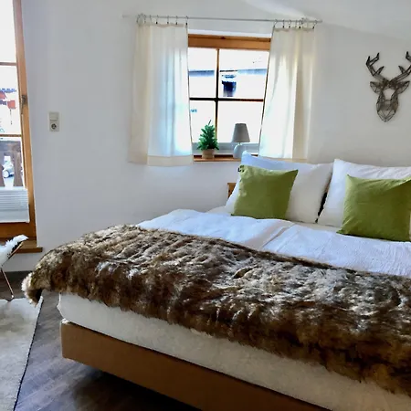 Belle Kitz Im Zentrum By Belle