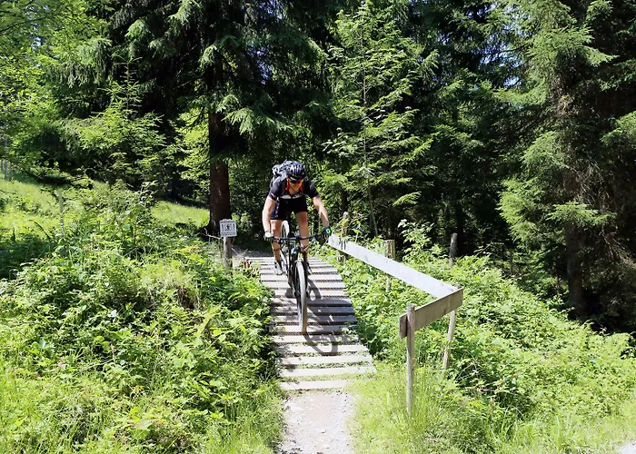 Belle Kitz Im Zentrum By Belle